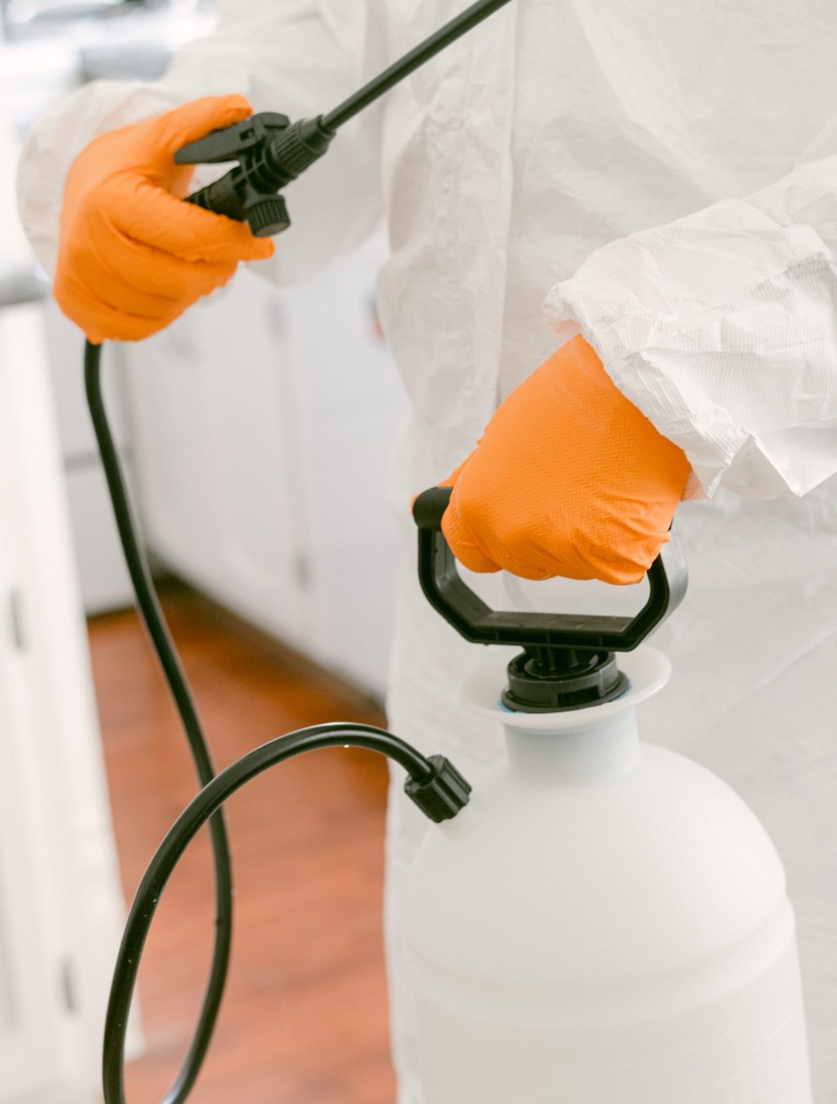 Pest Control Services In @fname@