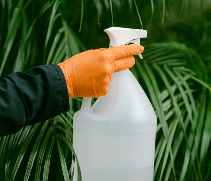 Bi-Monthly Pest Control Lago Vista Texas