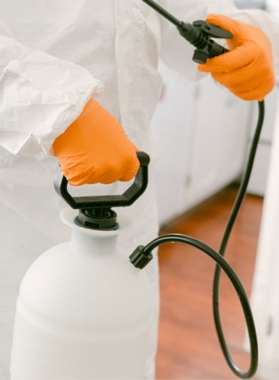 Bi-Monthly Pest Control Lago Vista Texas