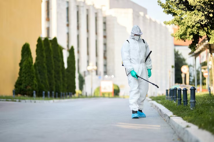 Termite Inspection In @fname@