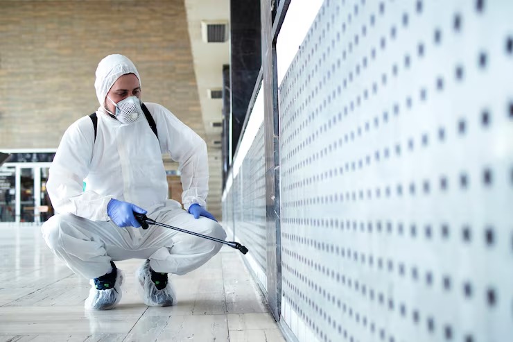 Rodent Control In Northwest Austin Texas
