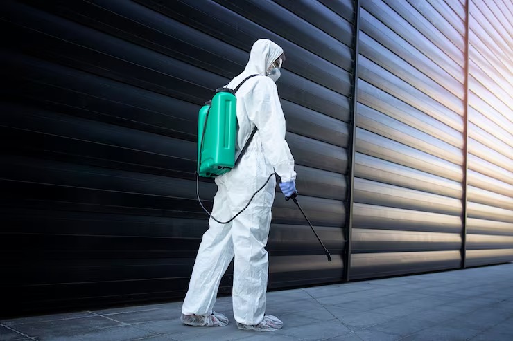 Termite Control In @fname@
